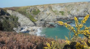 Habitat-santé et vacances-santé