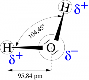 une molécule d'eau source: http://commons.wikimedia.org/wiki/User:Paddy